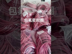 FEP Encap सिलिकॉन ओ रिंग, FEP Encap Viton O रिंग