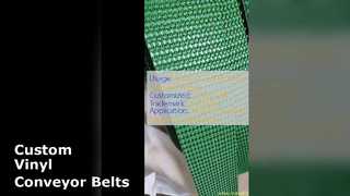 कस्टम विनाइल कन्वेयर बेल्ट समाधान