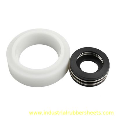 White or Black PTFE Oil Seal with SS304 or SS316 Insert Spring in Standard Size
